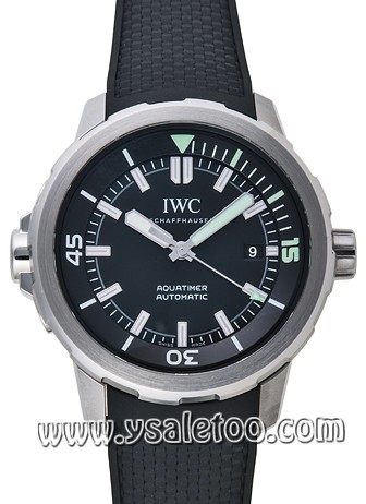 IWC 11073 コピー