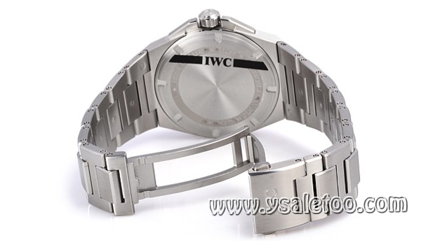 IWC 11086 コピー[1]